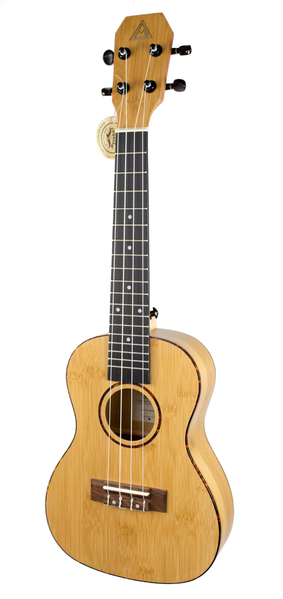 Around Music Instruments Bamboo Concert Ukulele