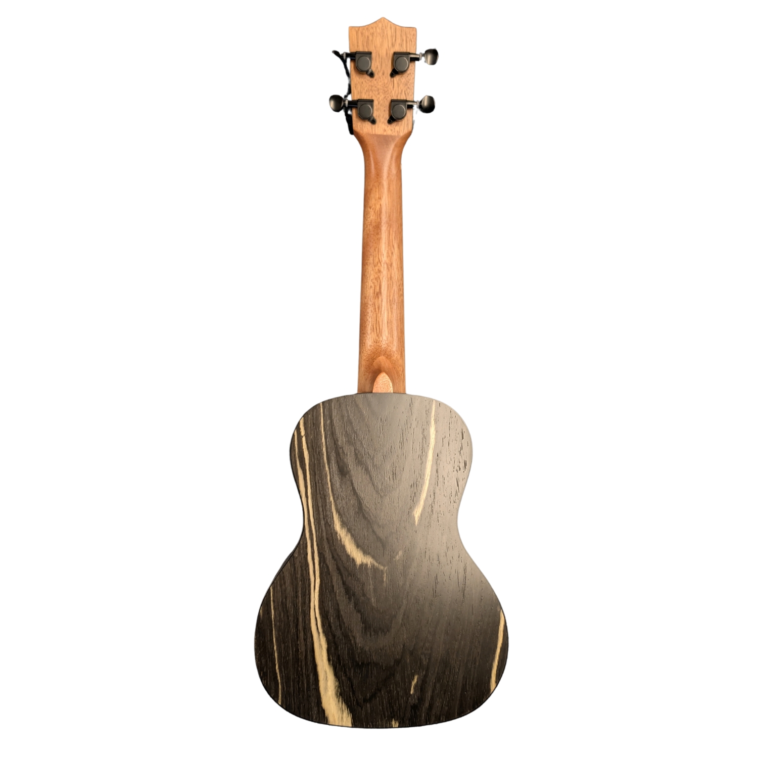 Around Music Instruments Tenorukulele Okapi - EQ