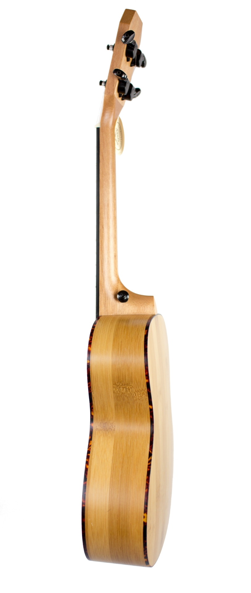Around Music Instruments Bamboo Concert Ukulele