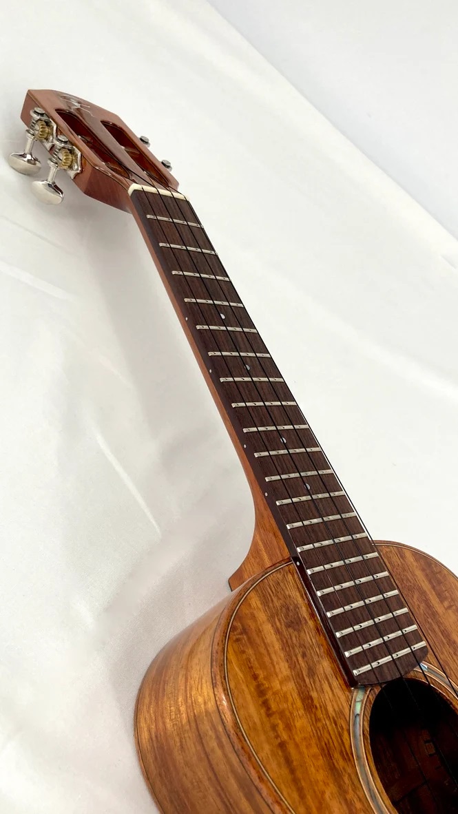 aNueNue AKK2E Konzert Ukulele PU