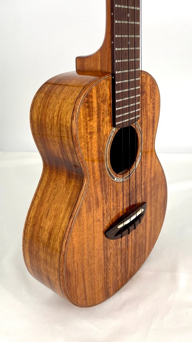 aNueNue AKK2E Konzert Ukulele PU