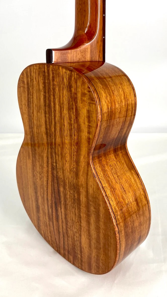 aNueNue AKK2E Konzert Ukulele PU