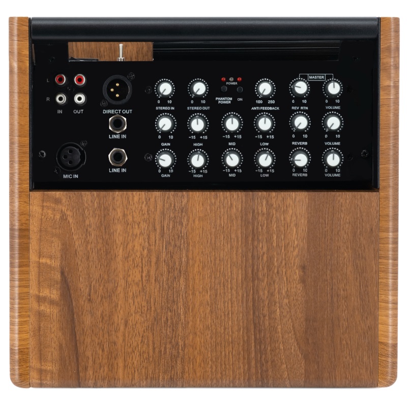 Prodipe  Amp Natural 5, walnut wood