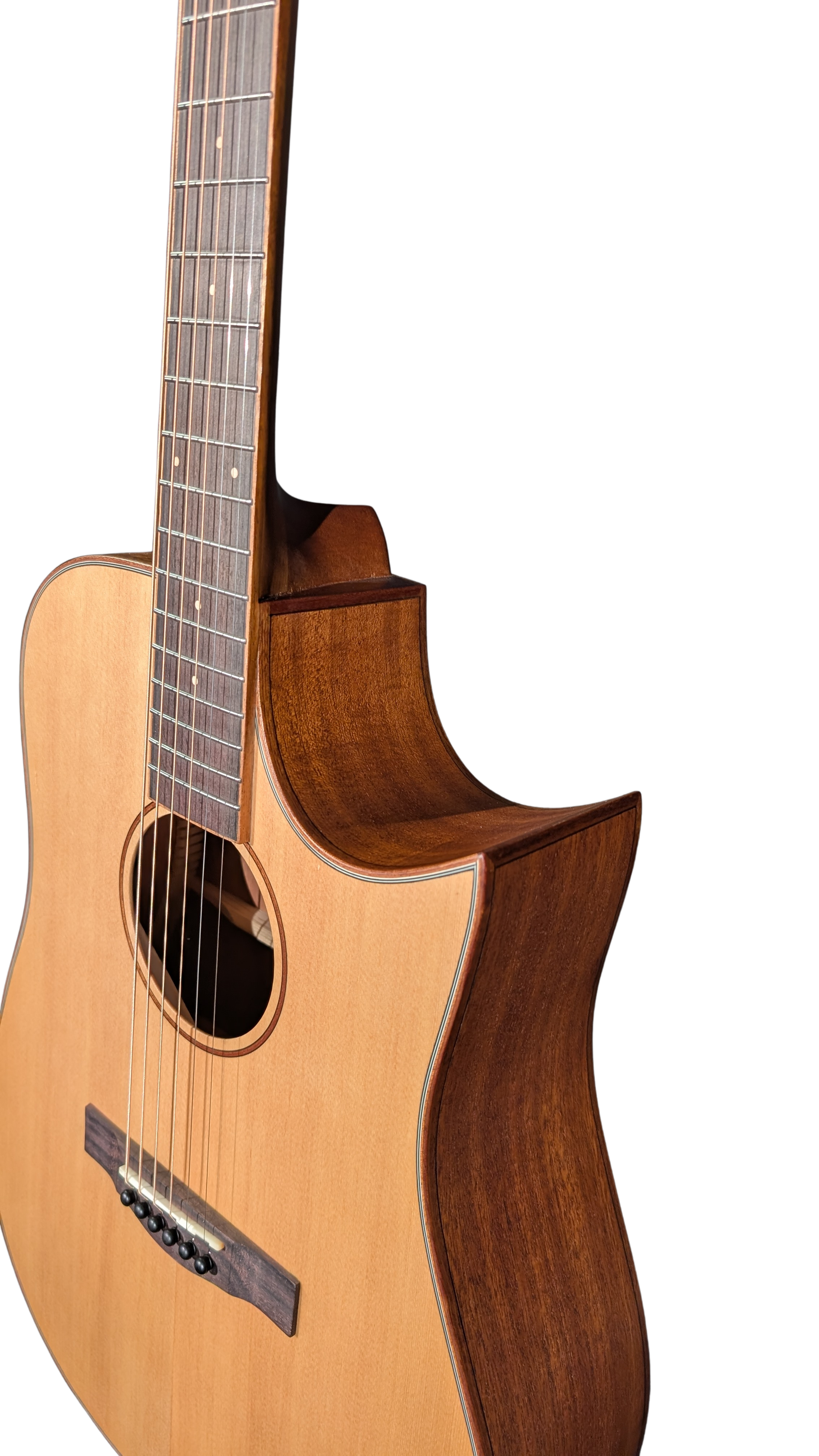 Cutaway der Dreadnought 313