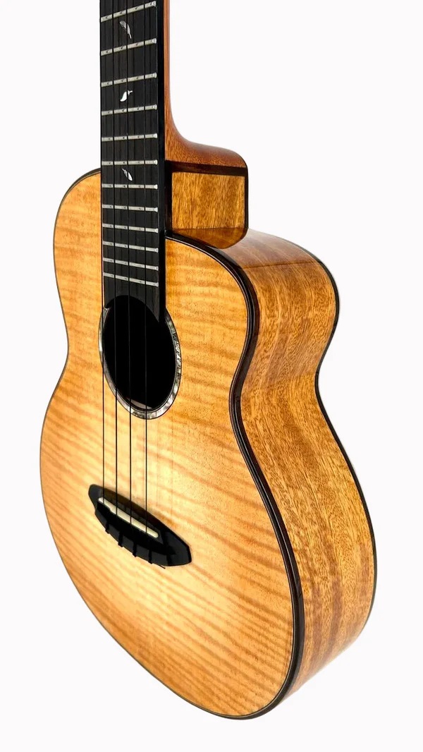 aNueNue UT166HS Feather Series – Premium Tenor Ukulele mit Double-Top und 4A Mango
