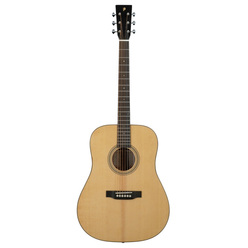 Prodipe Guitar Dreadnought SD300