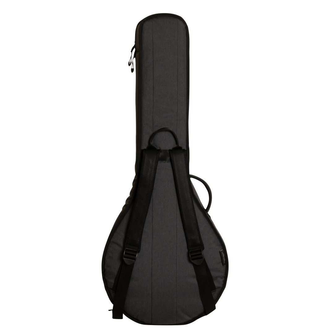 Ritter Davos 4/5-String Banjo Bag - ANT