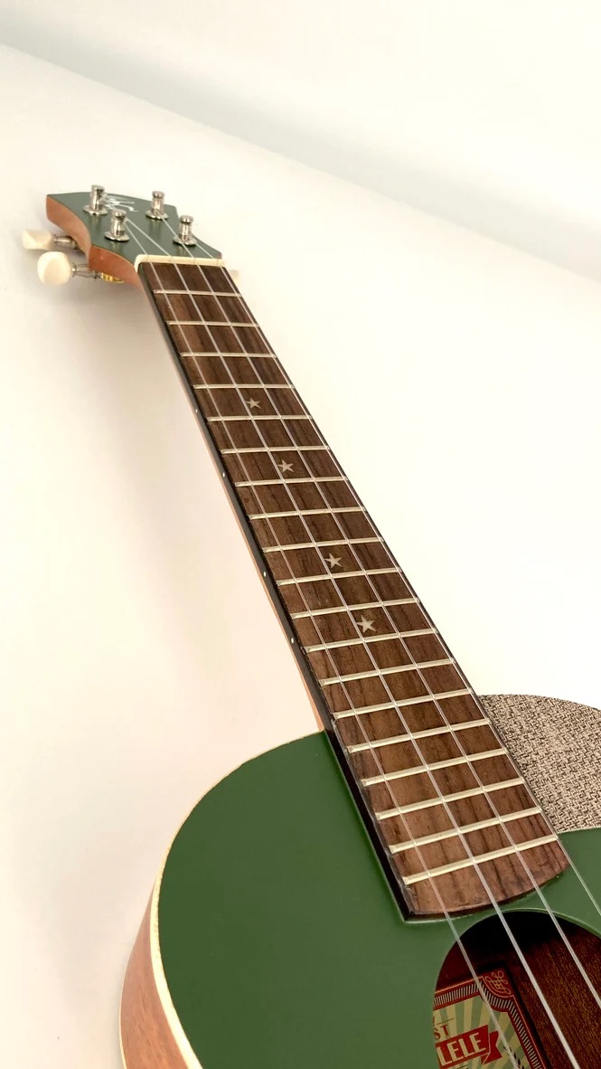 aNueNue UC10 , black forest